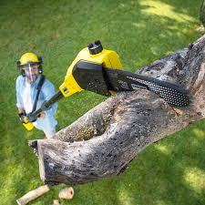 Lawn Maintenance Plans in Loveland, OH